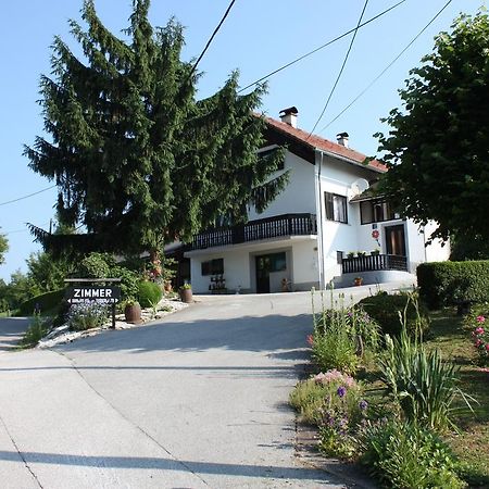 Apartment Jelena Seliste Dreznicko Pokoj fotografie