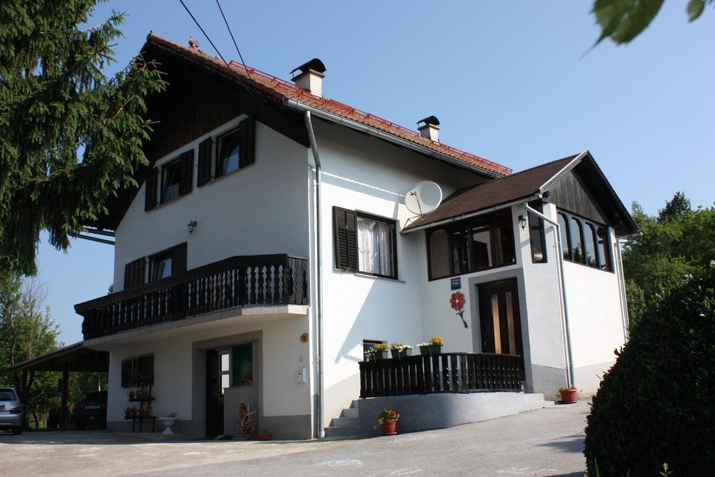 Apartment Jelena Seliste Dreznicko Pokoj fotografie