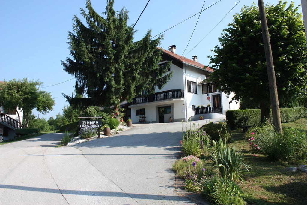 Apartment Jelena Seliste Dreznicko Pokoj fotografie