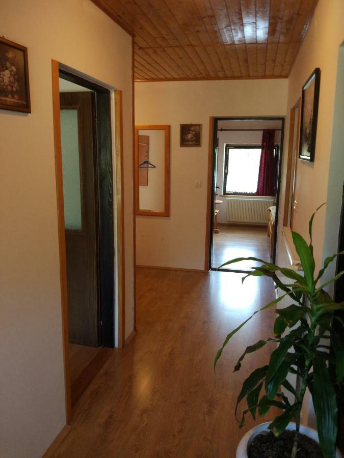 Apartment Jelena Seliste Dreznicko Exteriér fotografie